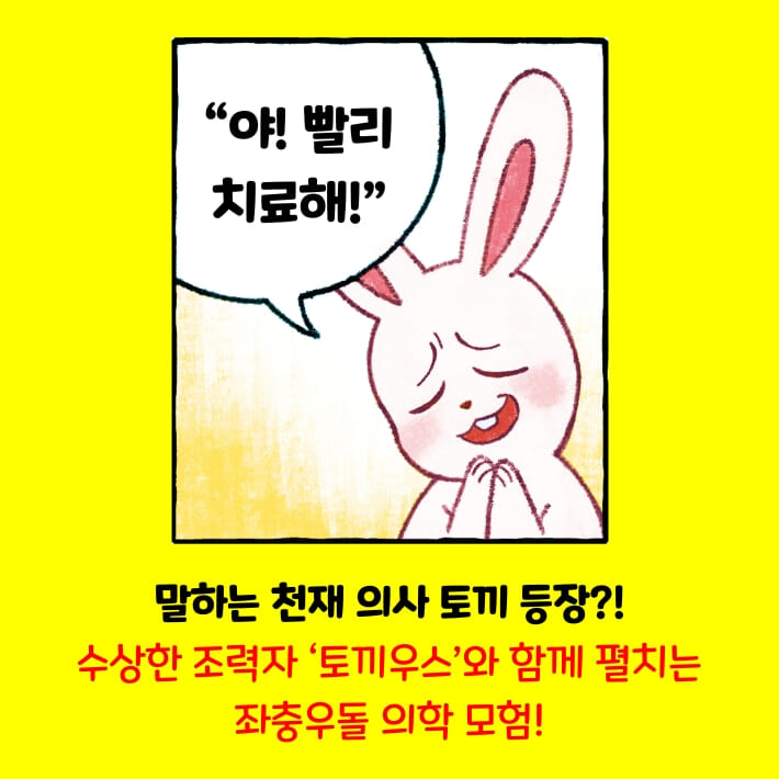 카드뉴스2
