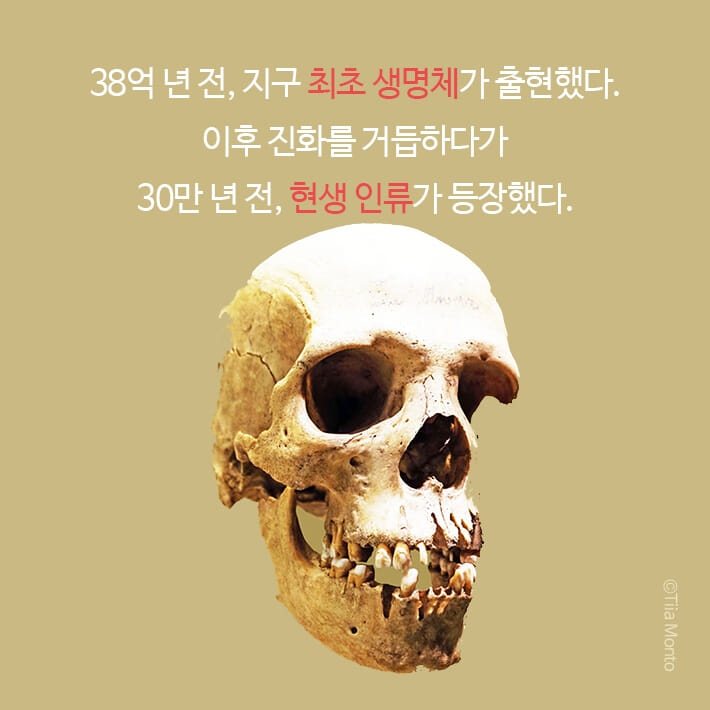 카드뉴스3