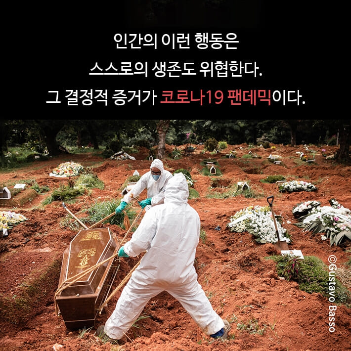 카드뉴스5