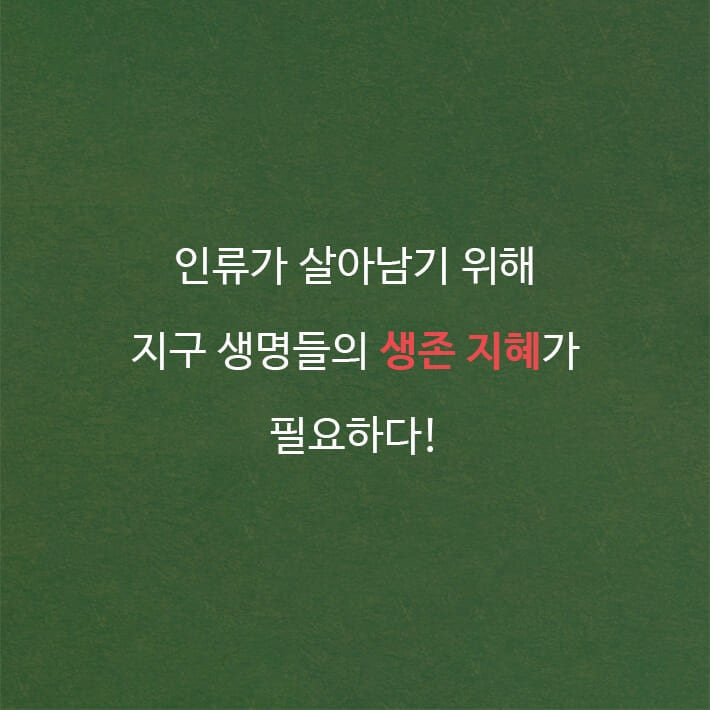 카드뉴스6