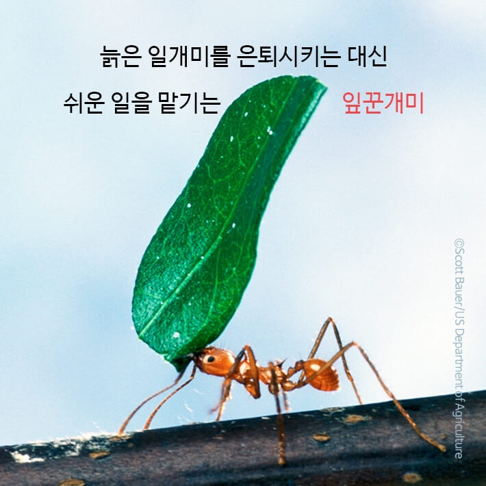 카드뉴스7