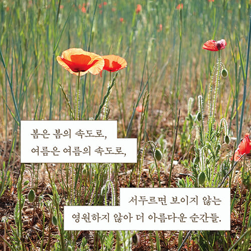 카드뉴스3