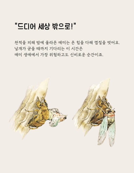 카드뉴스3