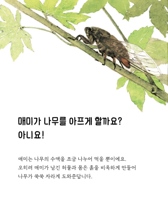 카드뉴스6