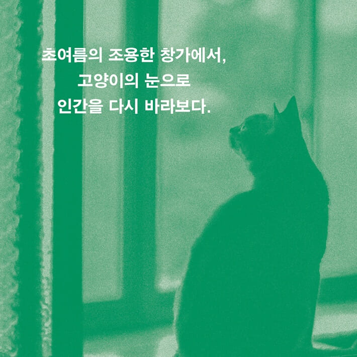 카드뉴스0