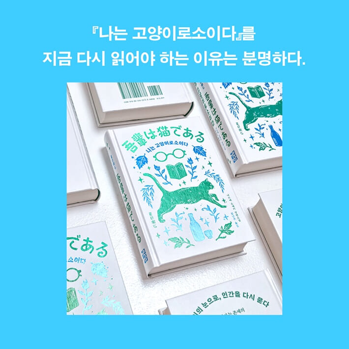 카드뉴스7