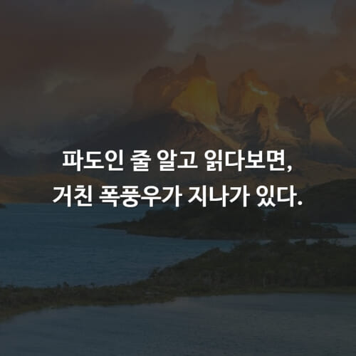 카드뉴스7