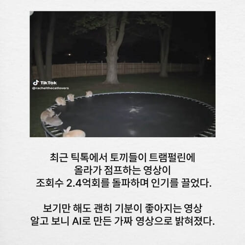 카드뉴스1