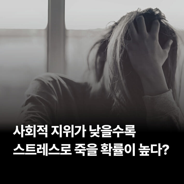 카드뉴스0