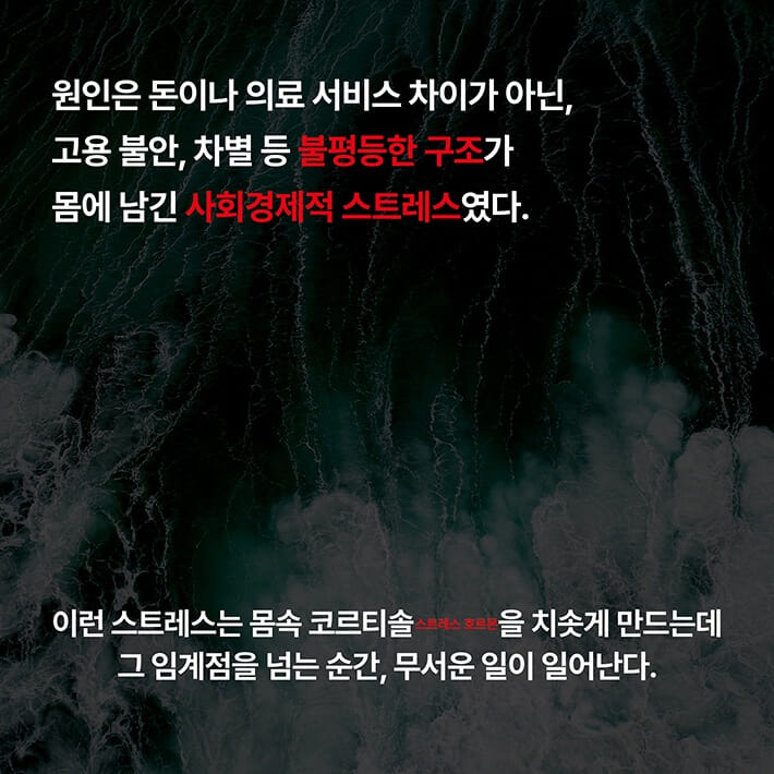 카드뉴스2