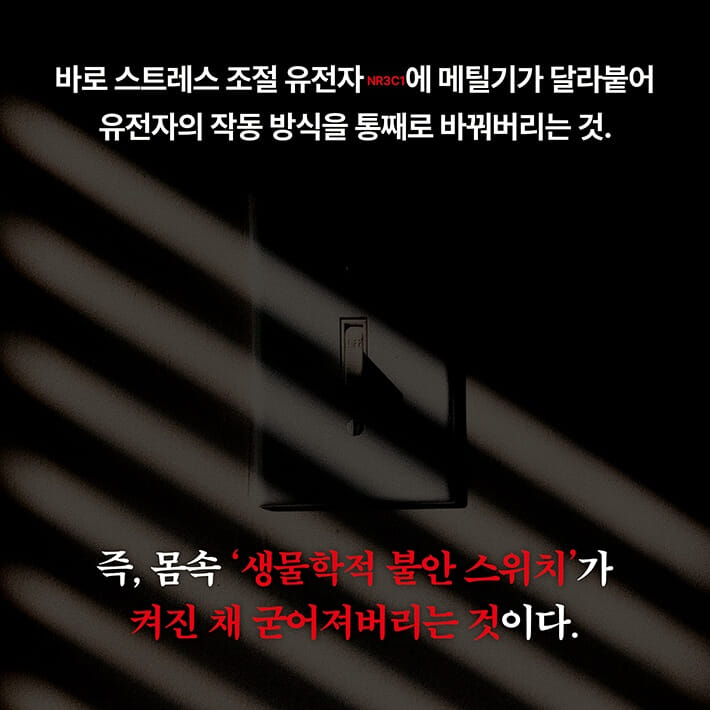 카드뉴스3