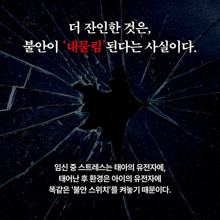 카드뉴스5