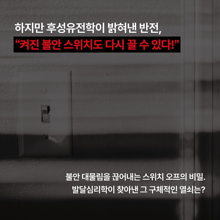 카드뉴스7
