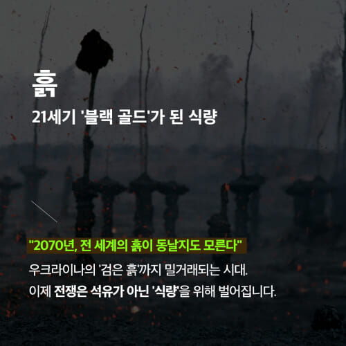 카드뉴스6