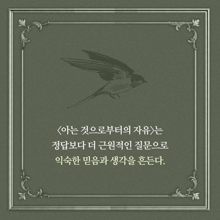 카드뉴스3