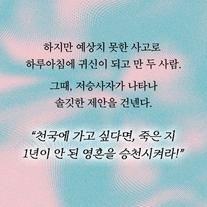 카드뉴스3