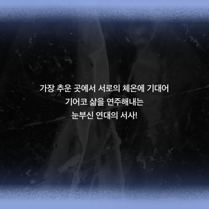 카드뉴스5