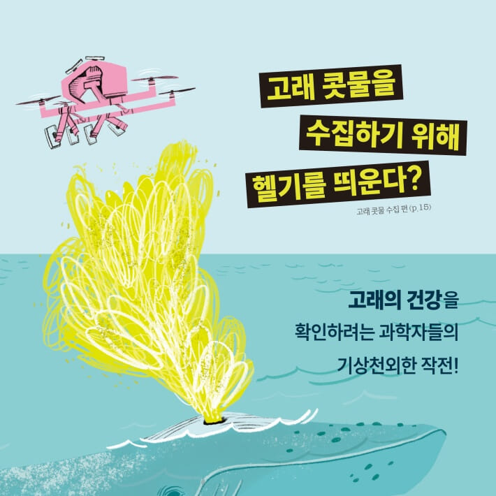 카드뉴스4