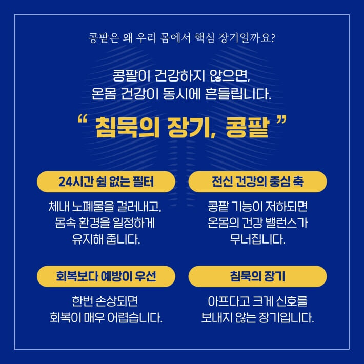 카드뉴스2