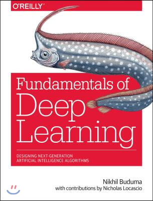 Fundamentals of Deep Learning: Designing Next-Generation Machine Intelligence Algorithms