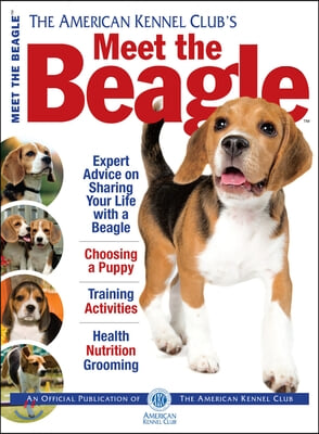 The American Kennel Club&#39;s Meet the Beagle