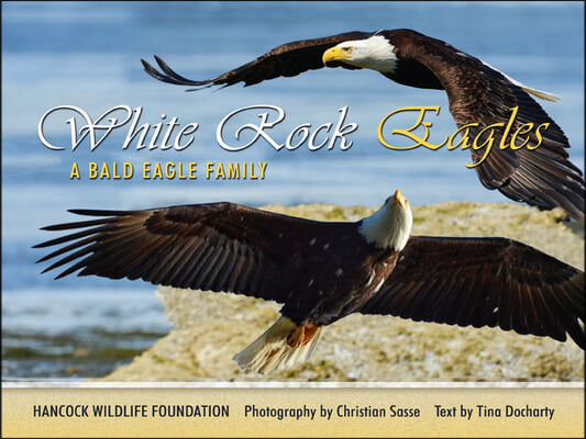 White Rock Eagles: A Bald Eagle Family