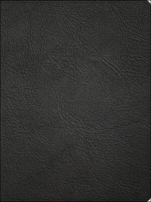 CSB Life Counsel Bible, Genuine Leather, Black: Practical Wisdom for All of Life