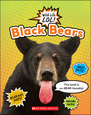 Black Bears (Wild Life Lol!)