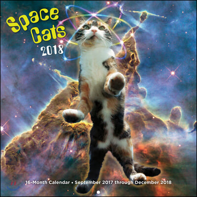 Space Cats 2018 Calendar