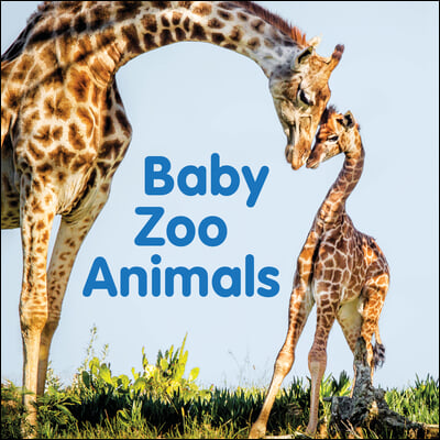 Baby Zoo Animals