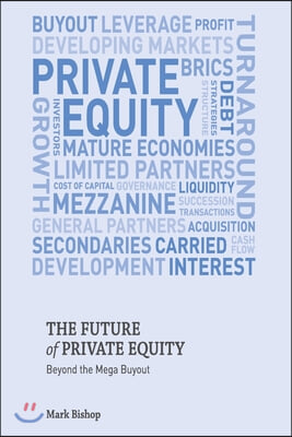 The Future of Private Equity: Beyond the Mega Buyout