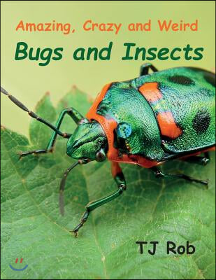 Amazing, Crazy and Weird Bugs and Insects: (Age 5 - 8)