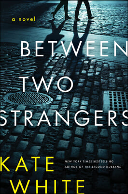 Between Two Strangers: A Novel of Suspense