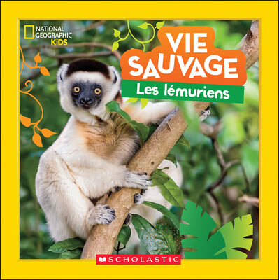 National Geographic Kids: Vie Sauvage: Les L&#233;muriens