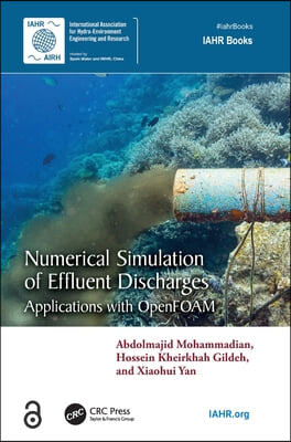 Numerical Simulation of Effluent Discharges