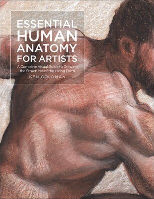 Essential Human Anatomy for Artists: A Complete Visual Guide to Drawing the Structures of the Living Form