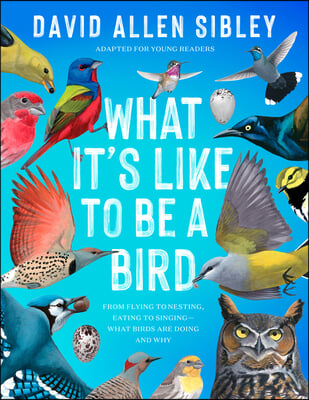 What It&#39;s Like to Be a Bird (Adapted for Young Readers): From Flying to Nesting, Eating to Singing--What Birds Are Doing and Why