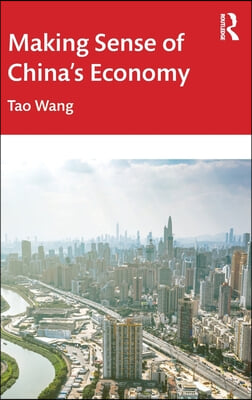 Making Sense of China's Economy