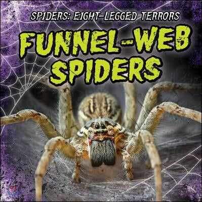 Funnel-Web Spiders