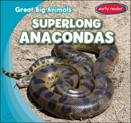 Superlong Anacondas