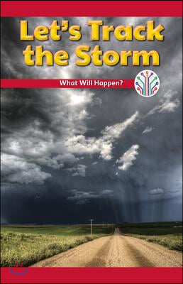 Let's Track the Storm: What Will Happen?