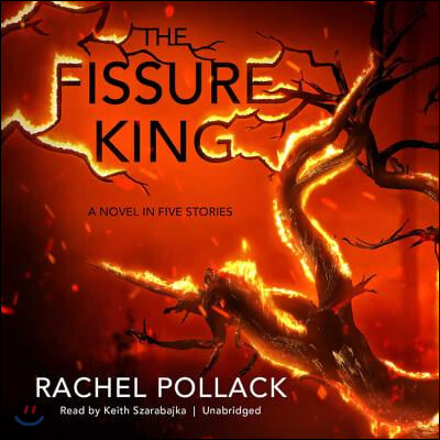 The Fissure King Lib/E: A Novel in Five Stories