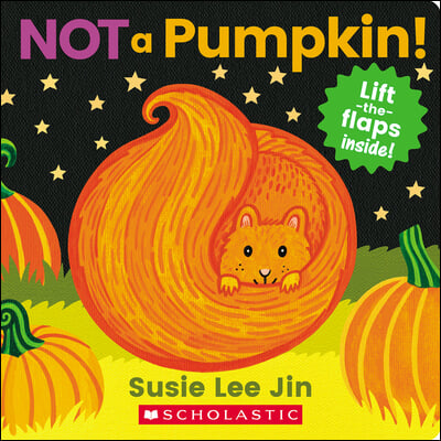 Not a Pumpkin! (a Lift-The-Flap Book)