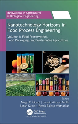 Nanotechnology Horizons in Food Process Engineering