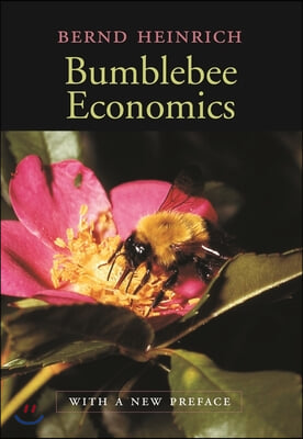 Bumblebee Economics