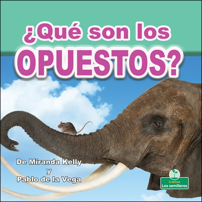 &#191;Que Son Los Opuestos? (What Are Opposites?)