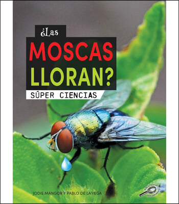 &#191;Las Moscas Lloran?: Does a Fly Cry?