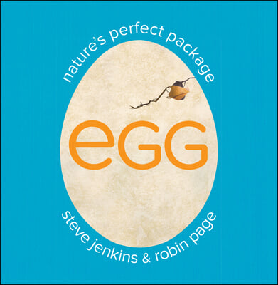 Egg: Nature's Perfect Package