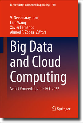 Big Data and Cloud Computing: Select Proceedings of Icbcc 2022