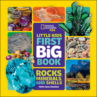 Little Kids First Big Book of Rocks, Minerals &amp; Shells-Library Edition